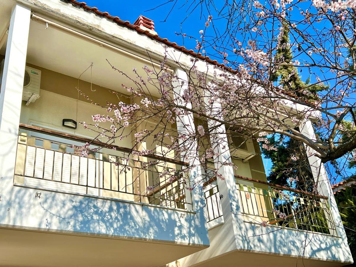 בית נופש Nikiti Beach Houses *
